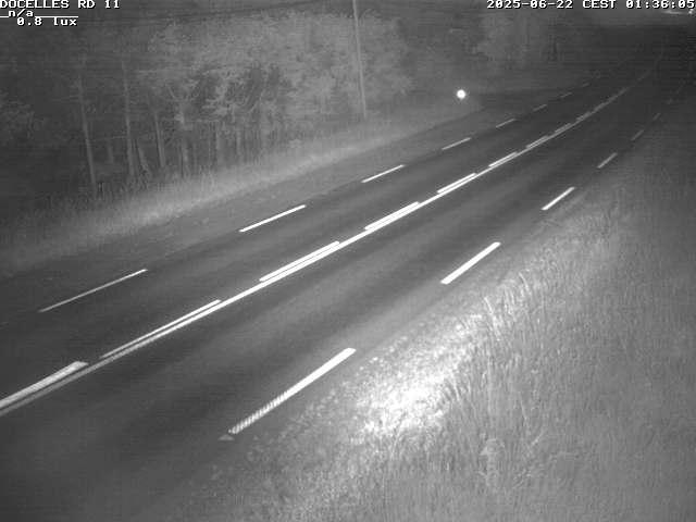 Webcam à 424 mètres d'altitude dans la Tranchée de Docelles dans les Vosges, à proximité d'Epinal sur la route de Gerardmer (D11)