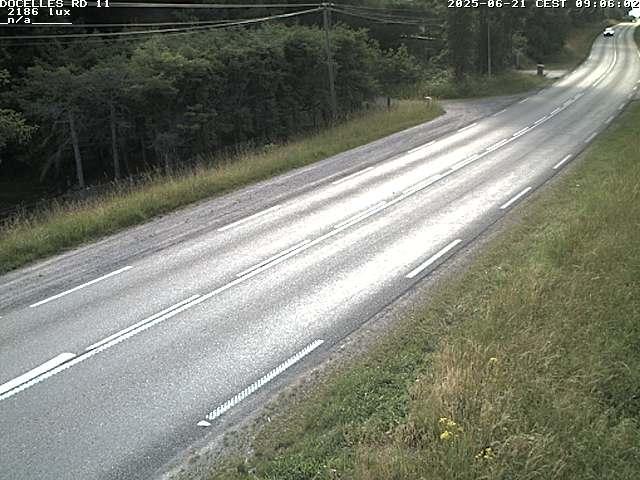 Webcam à 424 mètres d'altitude dans la Tranchée de Docelles dans les Vosges, à proximité d'Epinal sur la route de Gerardmer (D11)
