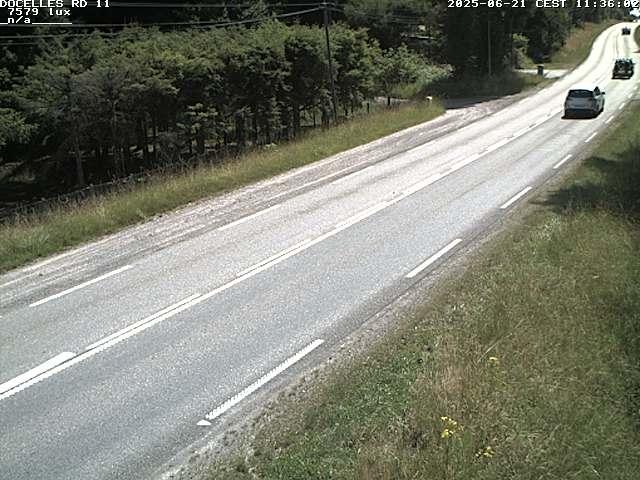 Webcam à 424 mètres d'altitude dans la Tranchée de Docelles dans les Vosges, à proximité d'Epinal sur la route de Gerardmer (D11)