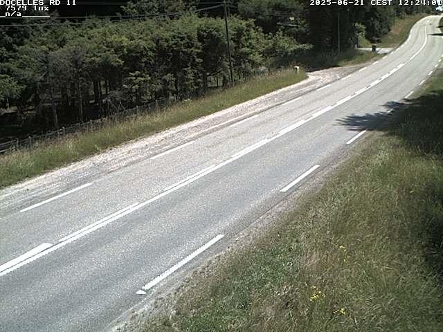 Webcam à 424 mètres d'altitude dans la Tranchée de Docelles dans les Vosges, à proximité d'Epinal sur la route de Gerardmer (D11)