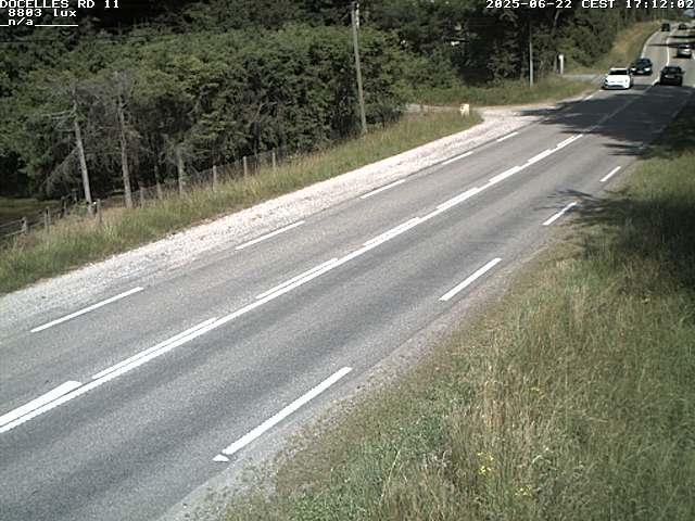 Webcam à 424 mètres d'altitude dans la Tranchée de Docelles dans les Vosges, à proximité d'Epinal sur la route de Gerardmer (D11)