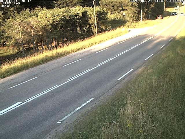 Webcam à 424 mètres d'altitude dans la Tranchée de Docelles dans les Vosges, à proximité d'Epinal sur la route de Gerardmer (D11)