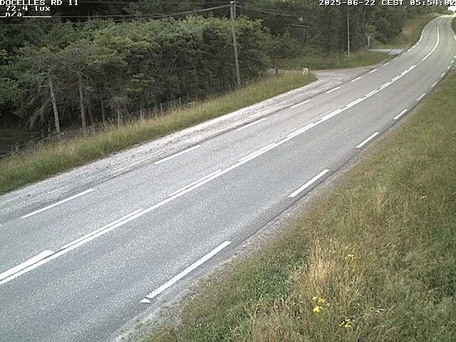 Webcam à 424 mètres d'altitude dans la Tranchée de Docelles dans les Vosges, à proximité d'Epinal sur la route de Gerardmer (D11)