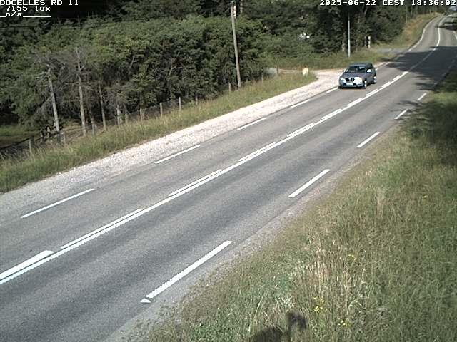 Webcam à 424 mètres d'altitude dans la Tranchée de Docelles dans les Vosges, à proximité d'Epinal sur la route de Gerardmer (D11)