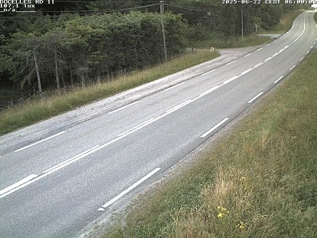 Webcam à 424 mètres d'altitude dans la Tranchée de Docelles dans les Vosges, à proximité d'Epinal sur la route de Gerardmer (D11)