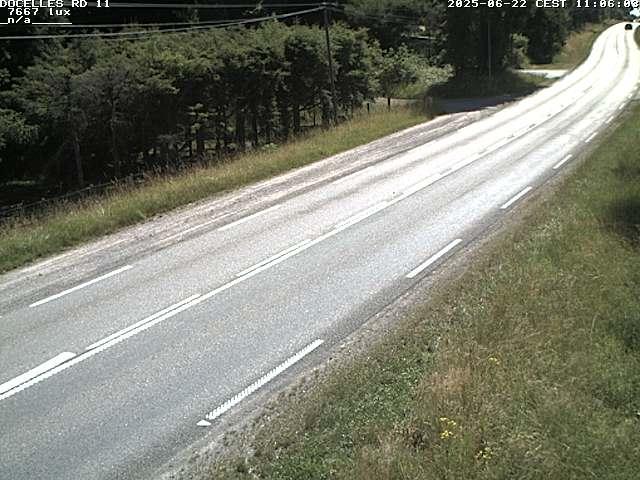 Webcam à 424 mètres d'altitude dans la Tranchée de Docelles dans les Vosges, à proximité d'Epinal sur la route de Gerardmer (D11)