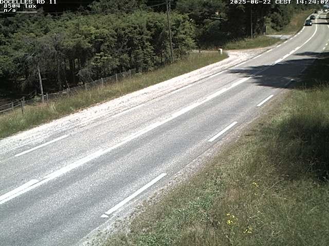 Webcam à 424 mètres d'altitude dans la Tranchée de Docelles dans les Vosges, à proximité d'Epinal sur la route de Gerardmer (D11)