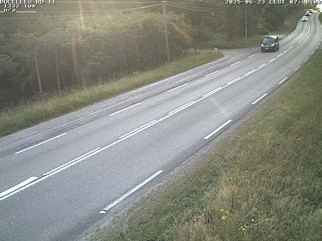 Webcam à 424 mètres d'altitude dans la Tranchée de Docelles dans les Vosges, à proximité d'Epinal sur la route de Gerardmer (D11)