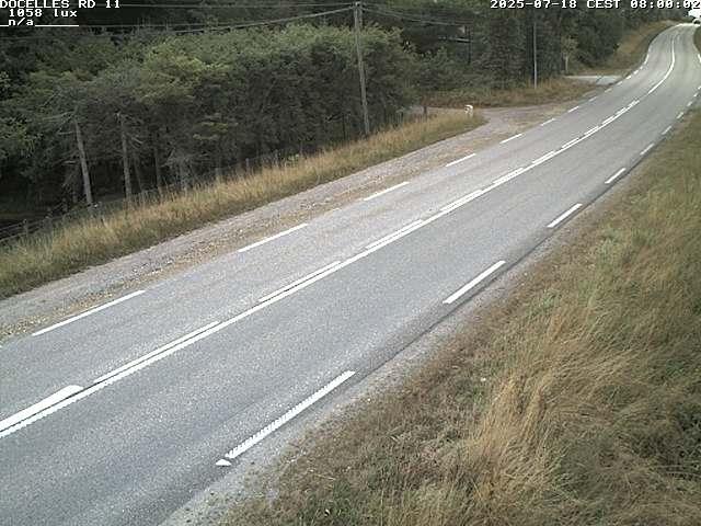 Webcam à 424 mètres d'altitude dans la Tranchée de Docelles dans les Vosges, à proximité d'Epinal sur la route de Gerardmer (D11)