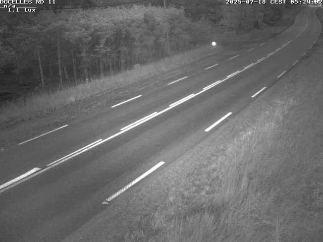 Webcam à 424 mètres d'altitude dans la Tranchée de Docelles dans les Vosges, à proximité d'Epinal sur la route de Gerardmer (D11)