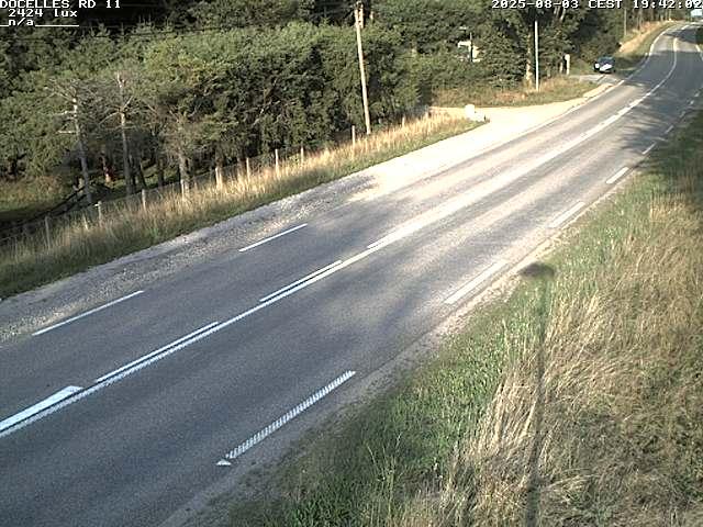 Webcam à 424 mètres d'altitude dans la Tranchée de Docelles dans les Vosges, à proximité d'Epinal sur la route de Gerardmer (D11)