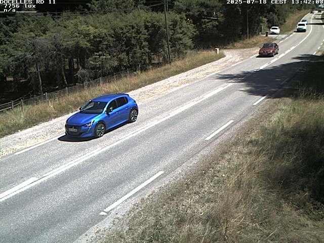 Webcam à 424 mètres d'altitude dans la Tranchée de Docelles dans les Vosges, à proximité d'Epinal sur la route de Gerardmer (D11)