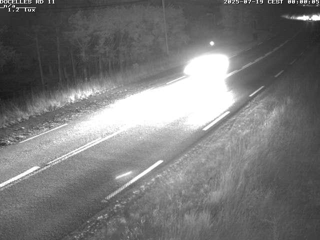 Webcam à 424 mètres d'altitude dans la Tranchée de Docelles dans les Vosges, à proximité d'Epinal sur la route de Gerardmer (D11)