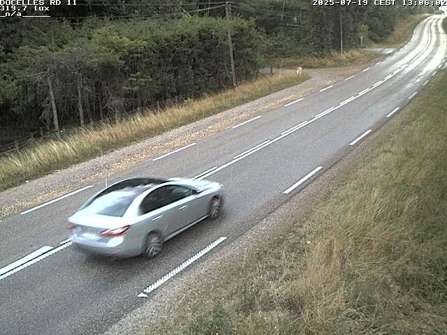Webcam à 424 mètres d'altitude dans la Tranchée de Docelles dans les Vosges, à proximité d'Epinal sur la route de Gerardmer (D11)