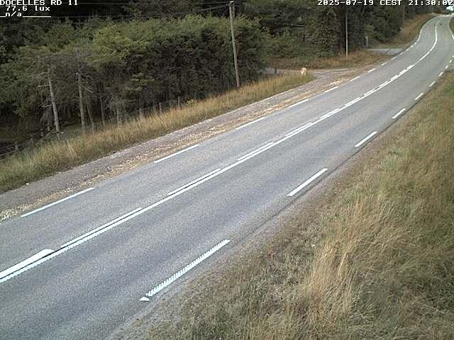 Webcam à 424 mètres d'altitude dans la Tranchée de Docelles dans les Vosges, à proximité d'Epinal sur la route de Gerardmer (D11)