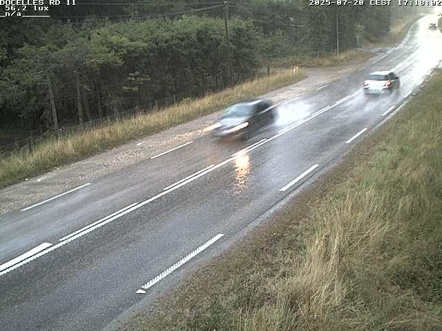 Webcam à 424 mètres d'altitude dans la Tranchée de Docelles dans les Vosges, à proximité d'Epinal sur la route de Gerardmer (D11)