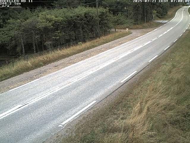 Webcam à 424 mètres d'altitude dans la Tranchée de Docelles dans les Vosges, à proximité d'Epinal sur la route de Gerardmer (D11)