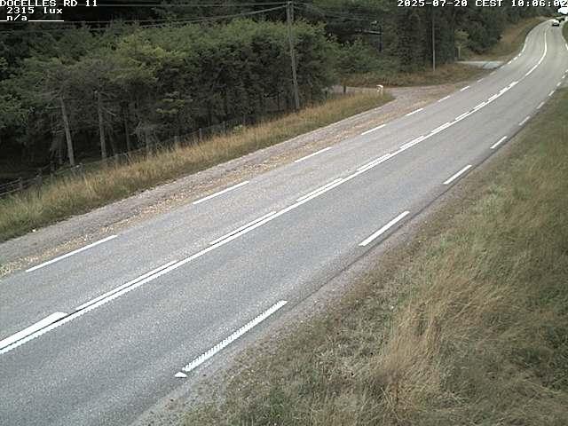 Webcam à 424 mètres d'altitude dans la Tranchée de Docelles dans les Vosges, à proximité d'Epinal sur la route de Gerardmer (D11)