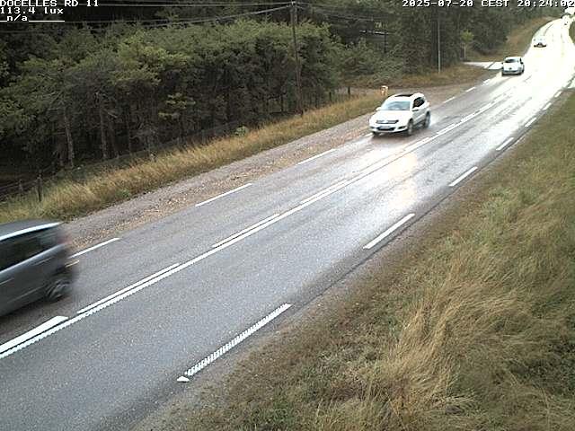 Webcam à 424 mètres d'altitude dans la Tranchée de Docelles dans les Vosges, à proximité d'Epinal sur la route de Gerardmer (D11)