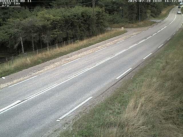 Webcam à 424 mètres d'altitude dans la Tranchée de Docelles dans les Vosges, à proximité d'Epinal sur la route de Gerardmer (D11)