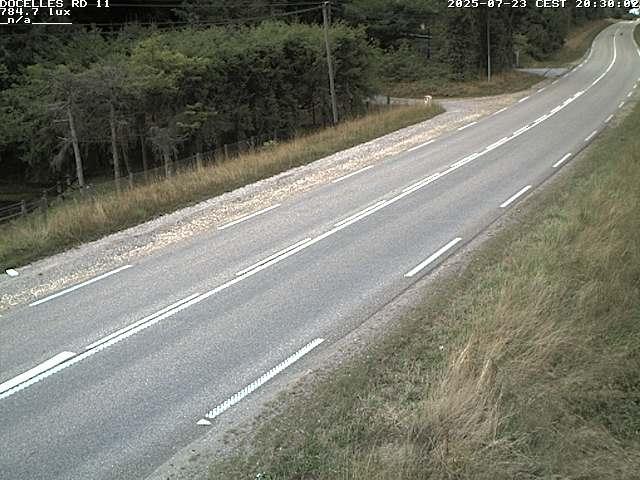 Webcam à 424 mètres d'altitude dans la Tranchée de Docelles dans les Vosges, à proximité d'Epinal sur la route de Gerardmer (D11)