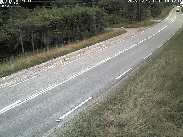 Webcam à 424 mètres d'altitude dans la Tranchée de Docelles dans les Vosges, à proximité d'Epinal sur la route de Gerardmer (D11)