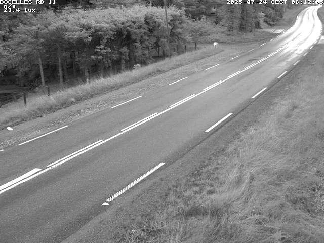 Webcam à 424 mètres d'altitude dans la Tranchée de Docelles dans les Vosges, à proximité d'Epinal sur la route de Gerardmer (D11)