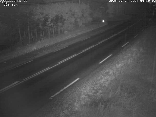 Webcam à 424 mètres d'altitude dans la Tranchée de Docelles dans les Vosges, à proximité d'Epinal sur la route de Gerardmer (D11)