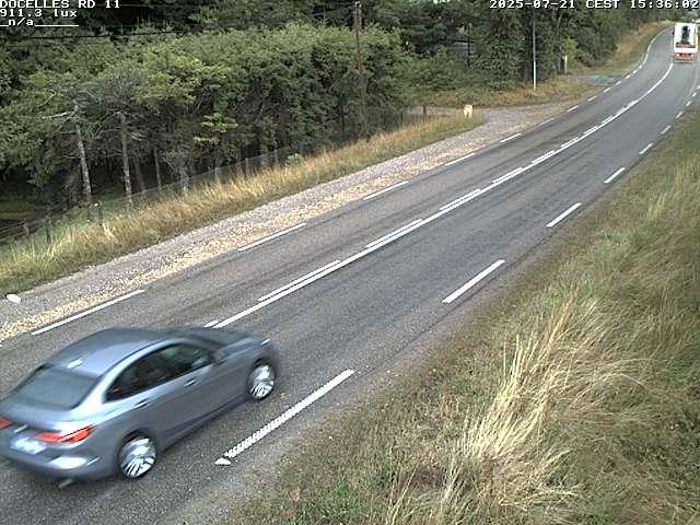 Webcam à 424 mètres d'altitude dans la Tranchée de Docelles dans les Vosges, à proximité d'Epinal sur la route de Gerardmer (D11)