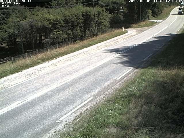 Webcam à 424 mètres d'altitude dans la Tranchée de Docelles dans les Vosges, à proximité d'Epinal sur la route de Gerardmer (D11)
