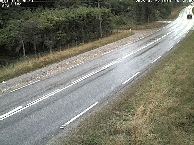 Webcam à 424 mètres d'altitude dans la Tranchée de Docelles dans les Vosges, à proximité d'Epinal sur la route de Gerardmer (D11)