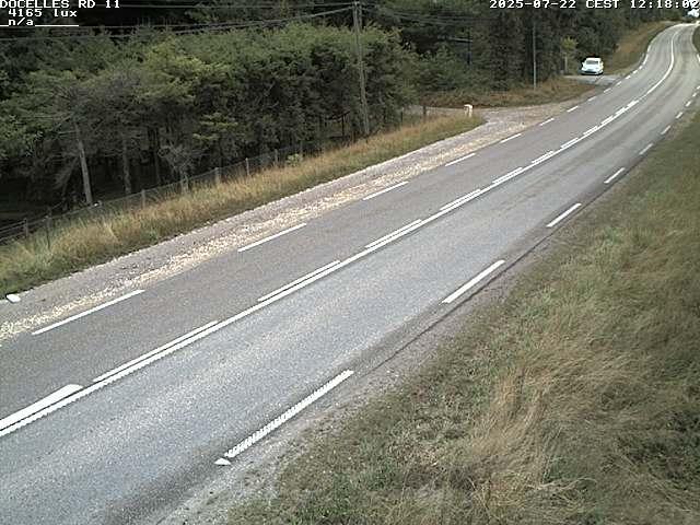 Webcam à 424 mètres d'altitude dans la Tranchée de Docelles dans les Vosges, à proximité d'Epinal sur la route de Gerardmer (D11)