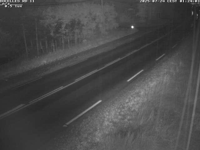 Webcam à 424 mètres d'altitude dans la Tranchée de Docelles dans les Vosges, à proximité d'Epinal sur la route de Gerardmer (D11)