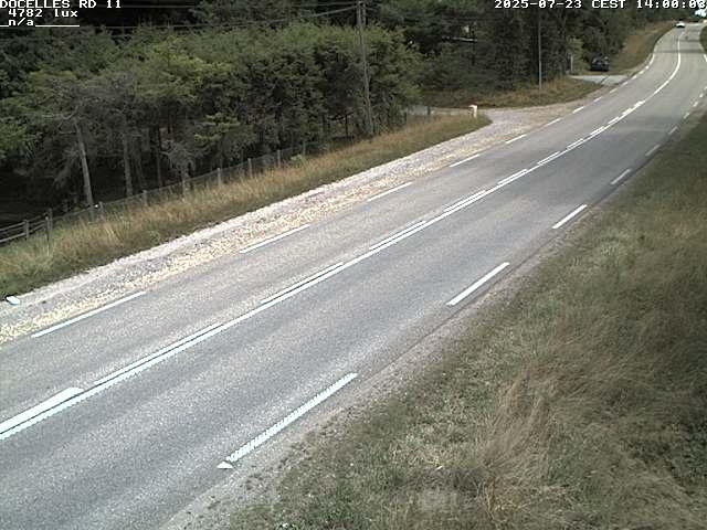 Webcam à 424 mètres d'altitude dans la Tranchée de Docelles dans les Vosges, à proximité d'Epinal sur la route de Gerardmer (D11)