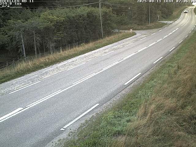 Webcam à 424 mètres d'altitude dans la Tranchée de Docelles dans les Vosges, à proximité d'Epinal sur la route de Gerardmer (D11)