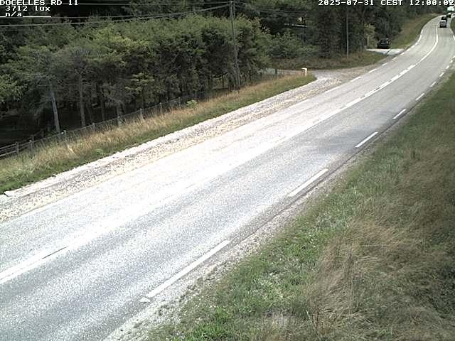 Webcam à 424 mètres d'altitude dans la Tranchée de Docelles dans les Vosges, à proximité d'Epinal sur la route de Gerardmer (D11)