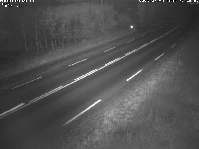 Webcam à 424 mètres d'altitude dans la Tranchée de Docelles dans les Vosges, à proximité d'Epinal sur la route de Gerardmer (D11)