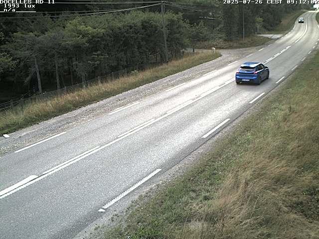 Webcam à 424 mètres d'altitude dans la Tranchée de Docelles dans les Vosges, à proximité d'Epinal sur la route de Gerardmer (D11)