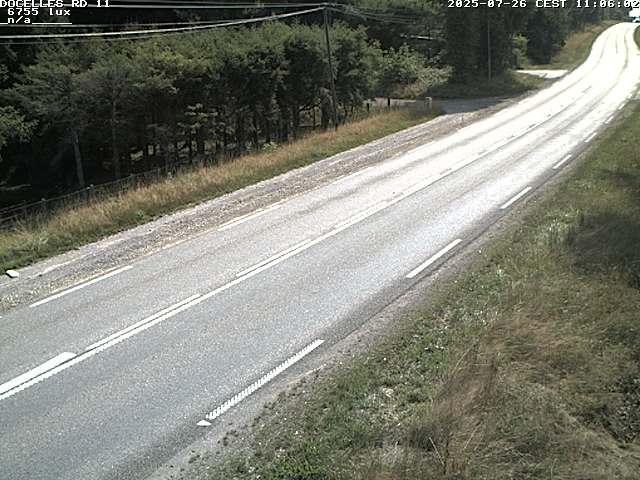 Webcam à 424 mètres d'altitude dans la Tranchée de Docelles dans les Vosges, à proximité d'Epinal sur la route de Gerardmer (D11)