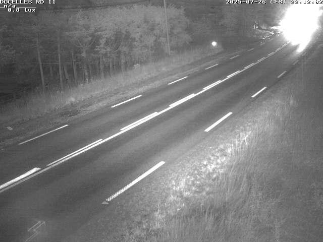 Webcam à 424 mètres d'altitude dans la Tranchée de Docelles dans les Vosges, à proximité d'Epinal sur la route de Gerardmer (D11)