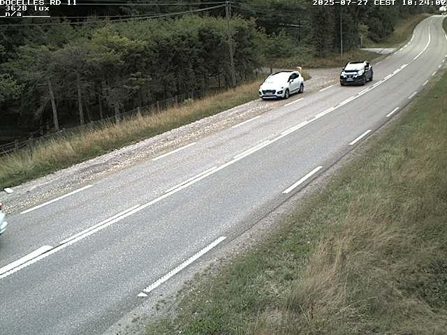 Webcam à 424 mètres d'altitude dans la Tranchée de Docelles dans les Vosges, à proximité d'Epinal sur la route de Gerardmer (D11)