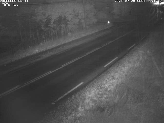 Webcam à 424 mètres d'altitude dans la Tranchée de Docelles dans les Vosges, à proximité d'Epinal sur la route de Gerardmer (D11)