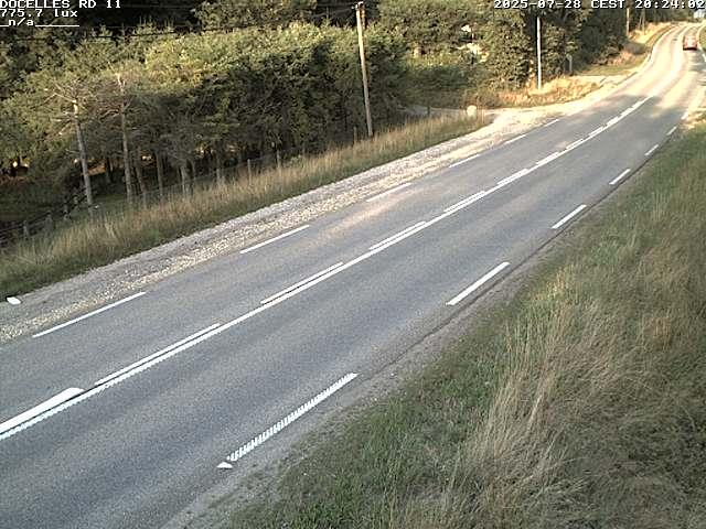 Webcam à 424 mètres d'altitude dans la Tranchée de Docelles dans les Vosges, à proximité d'Epinal sur la route de Gerardmer (D11)