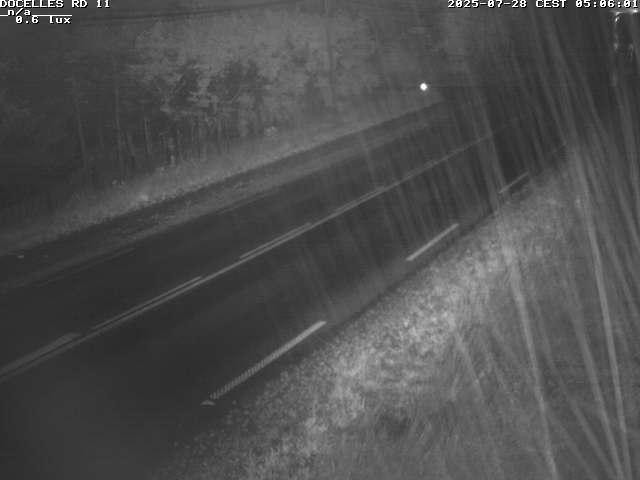 Webcam à 424 mètres d'altitude dans la Tranchée de Docelles dans les Vosges, à proximité d'Epinal sur la route de Gerardmer (D11)