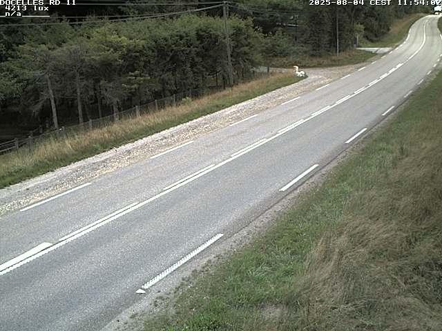 Webcam à 424 mètres d'altitude dans la Tranchée de Docelles dans les Vosges, à proximité d'Epinal sur la route de Gerardmer (D11)