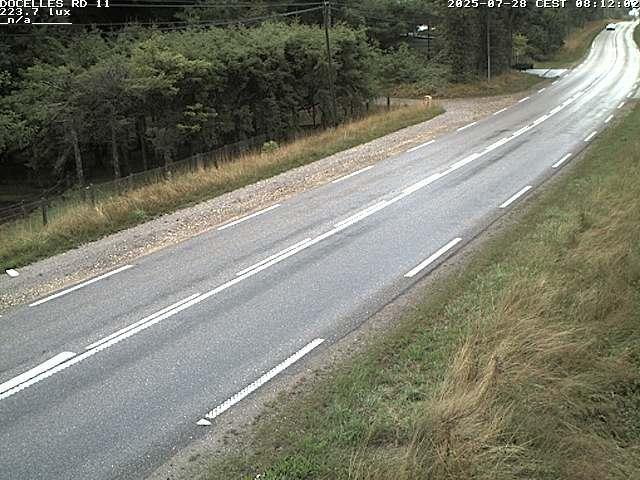 Webcam à 424 mètres d'altitude dans la Tranchée de Docelles dans les Vosges, à proximité d'Epinal sur la route de Gerardmer (D11)