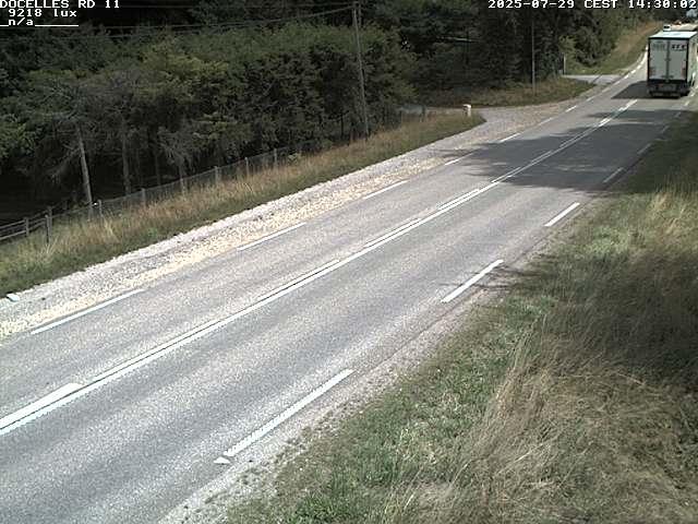 Webcam à 424 mètres d'altitude dans la Tranchée de Docelles dans les Vosges, à proximité d'Epinal sur la route de Gerardmer (D11)
