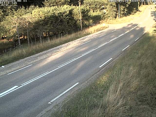 Webcam à 424 mètres d'altitude dans la Tranchée de Docelles dans les Vosges, à proximité d'Epinal sur la route de Gerardmer (D11)