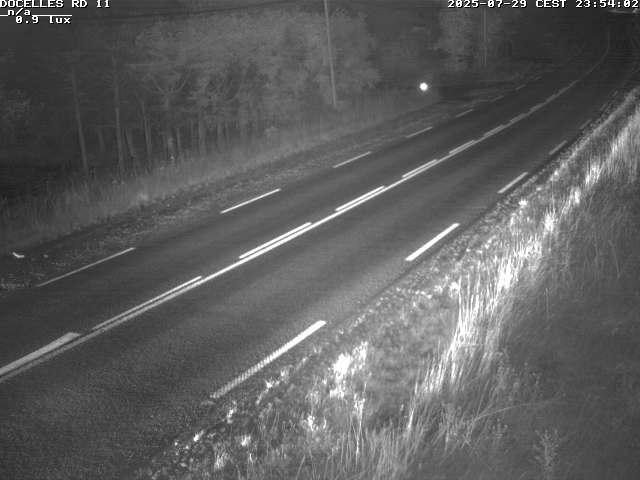 Webcam à 424 mètres d'altitude dans la Tranchée de Docelles dans les Vosges, à proximité d'Epinal sur la route de Gerardmer (D11)