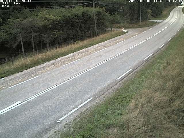 Webcam à 424 mètres d'altitude dans la Tranchée de Docelles dans les Vosges, à proximité d'Epinal sur la route de Gerardmer (D11)